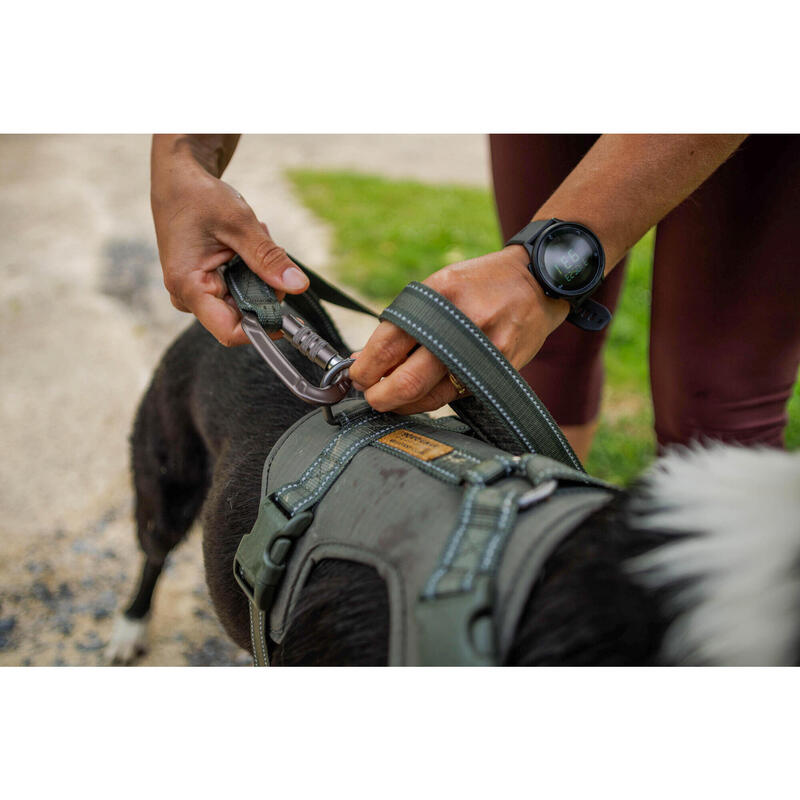 Av Köpeği Gezdirme Kayışı - Haki - Avcılık ve Doğa Gözlemi - 500