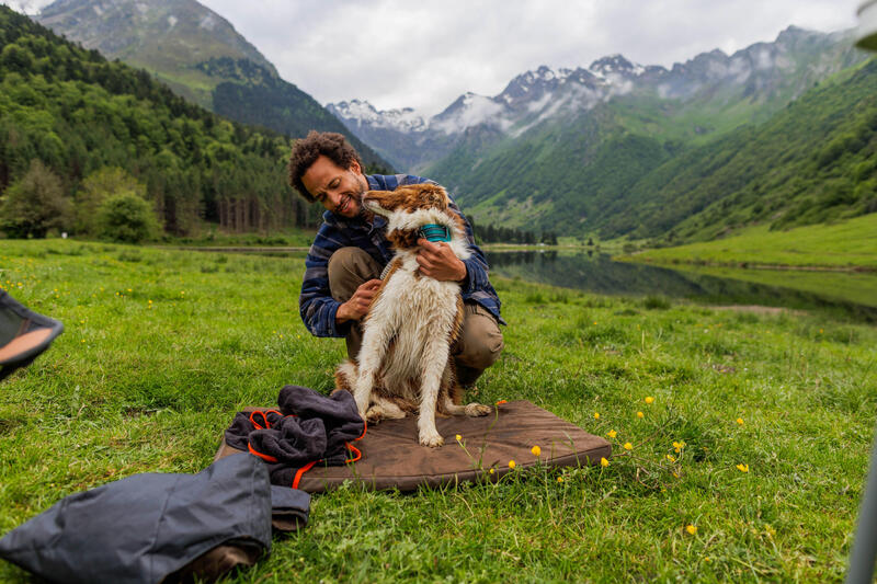 Így válassz fekhelyet kutyádnak!