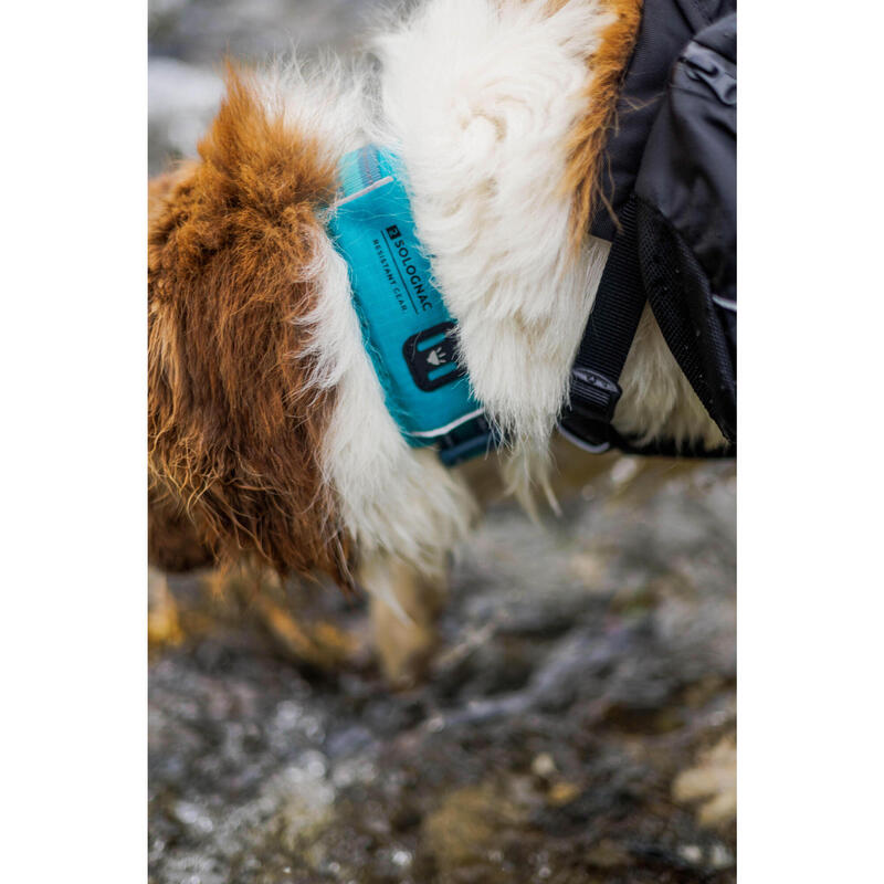 Hundehalsband Outdoor 500 blau