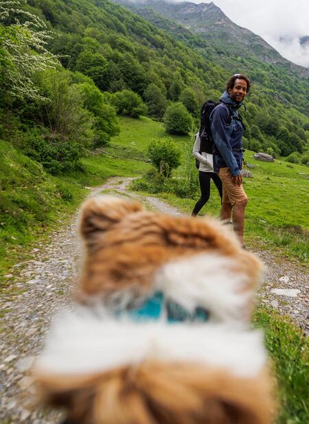 Un article qui explique comment bien débuter le canirando avec son chien