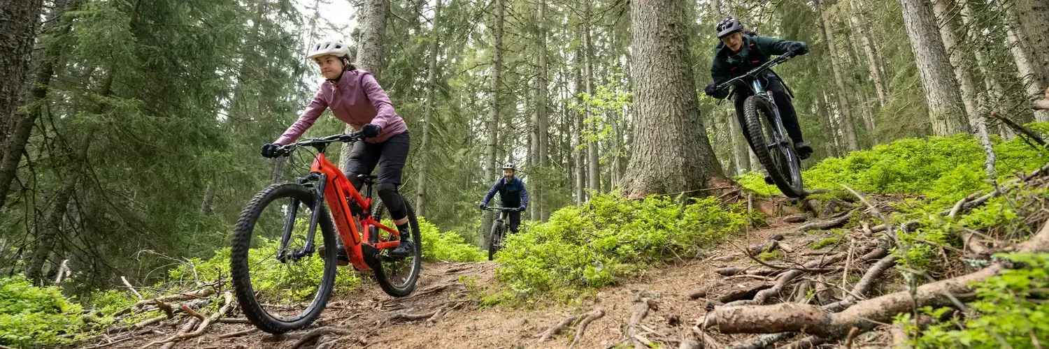 Autonomía de una bicicleta eléctrica
