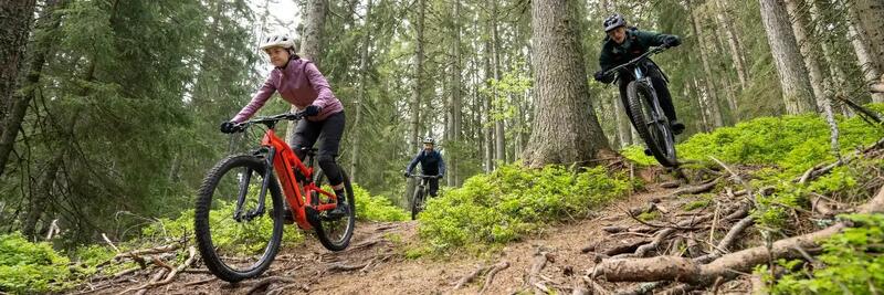 TIPURI DE BICICLETE ELECTRICE: AFLĂ CARE ȚI SE POTRIVEȘTE