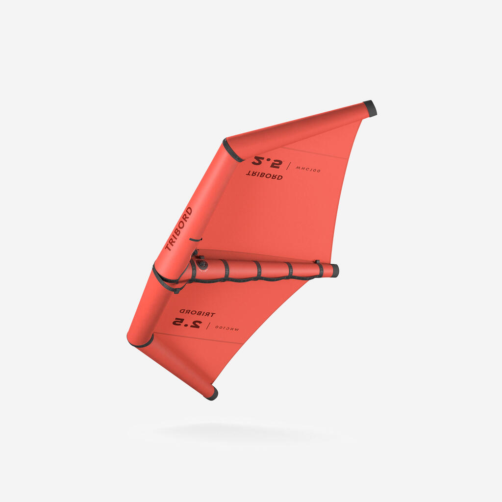 Papalote Wing de 2.5 m² 100 V2