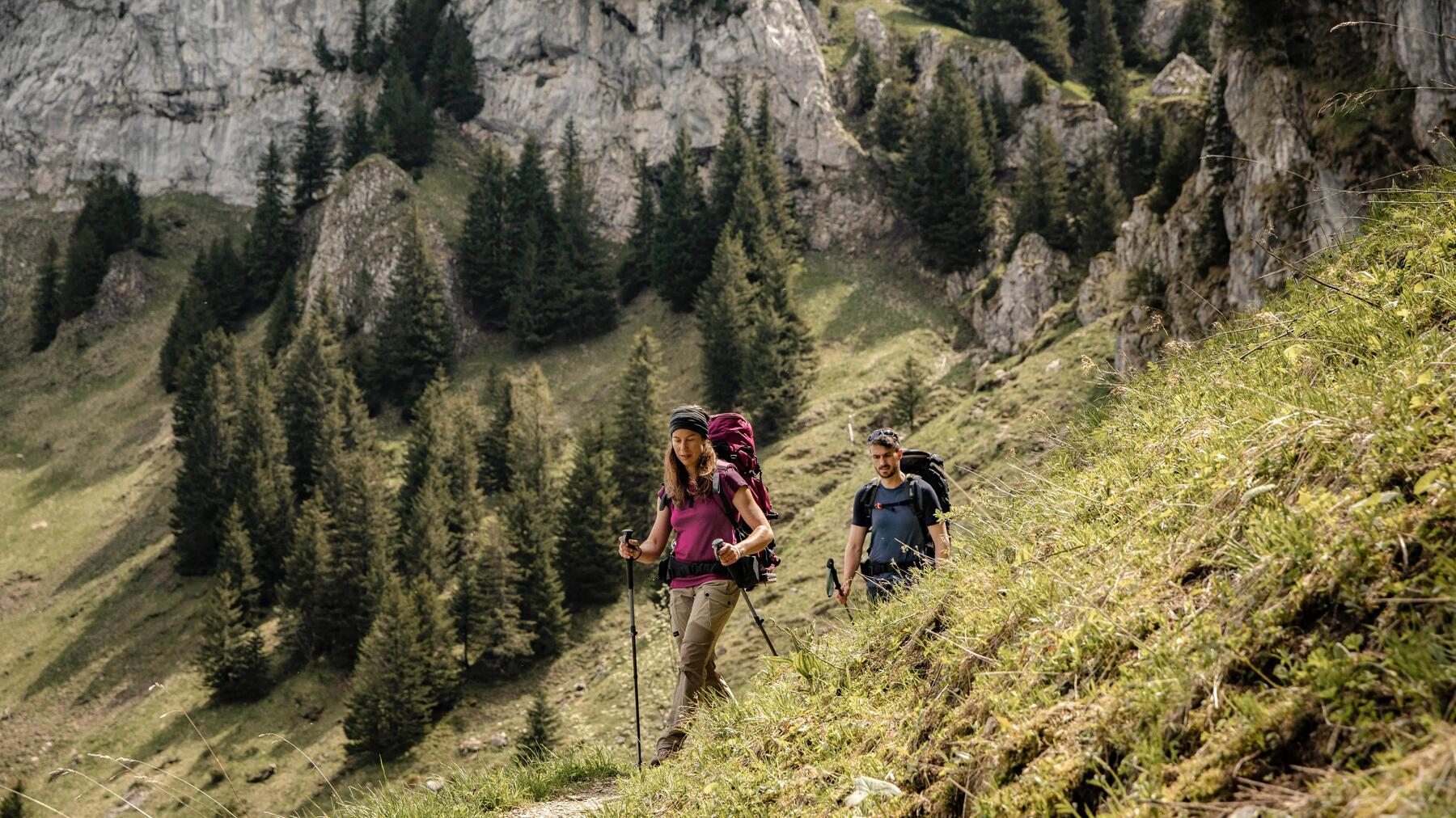 Pourquoi choisir la laine mérinos