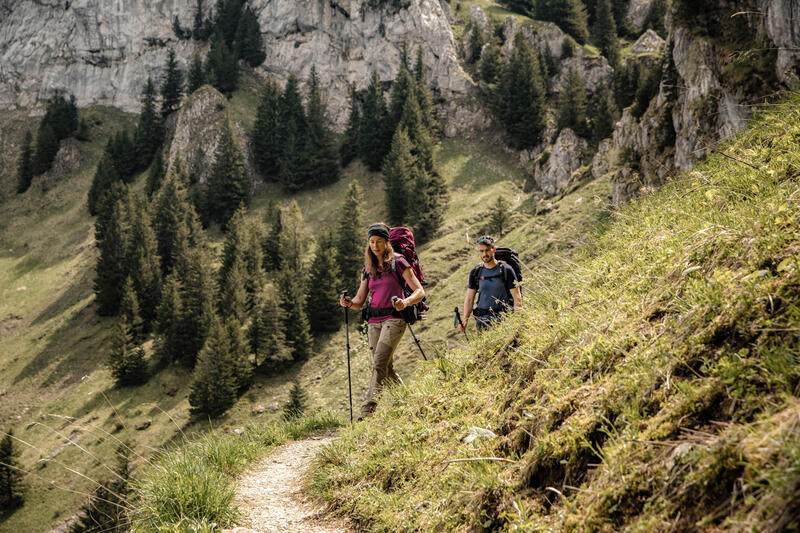 Koszulka damska trekkingowa z krótkim rękawem Forclaz MT500 merino