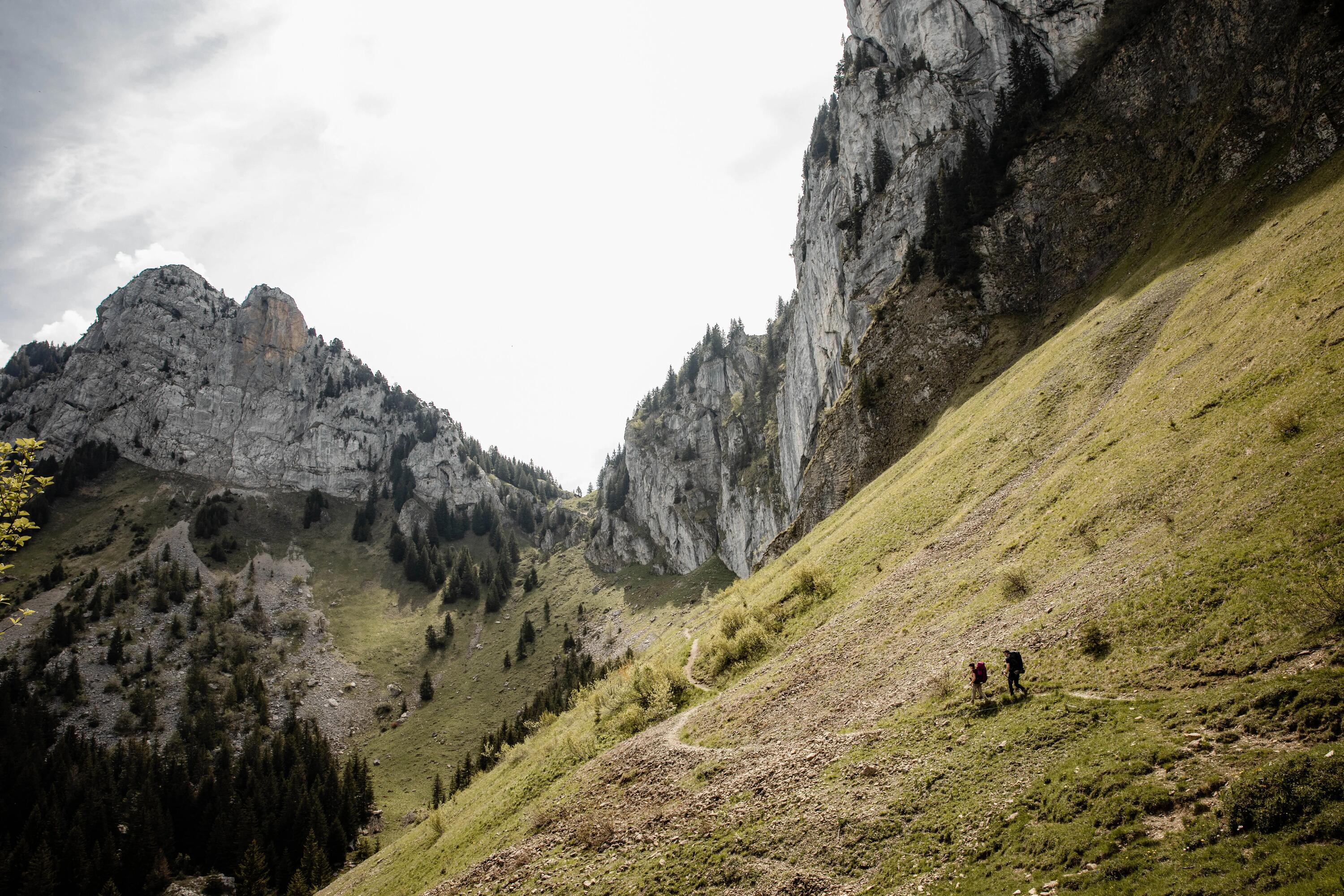 Spodnie trekkingowe damskie Simond MT500 11/11