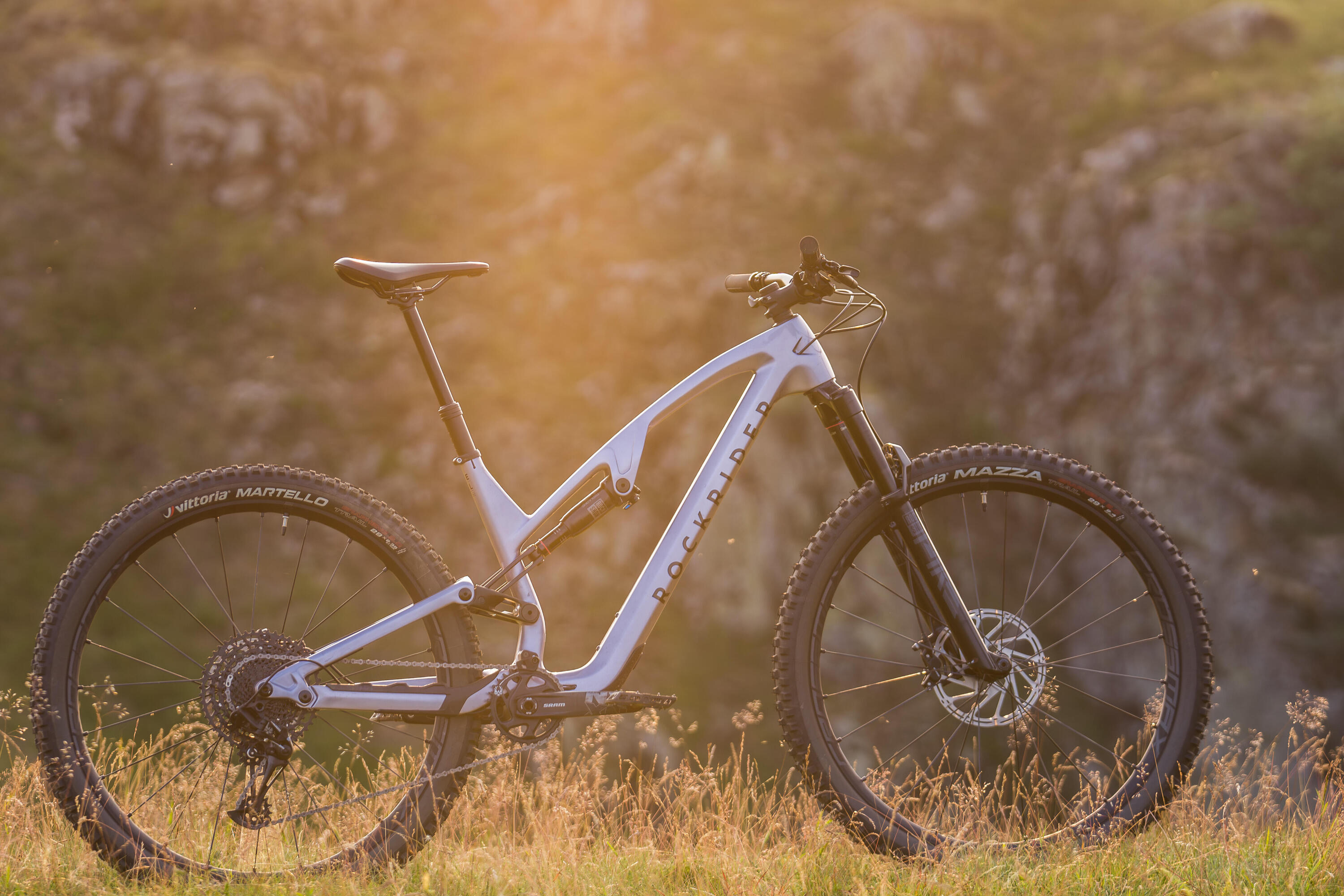 Mountainbike Feel 900 S  29" All Mountain Carbonrahmen 15/26