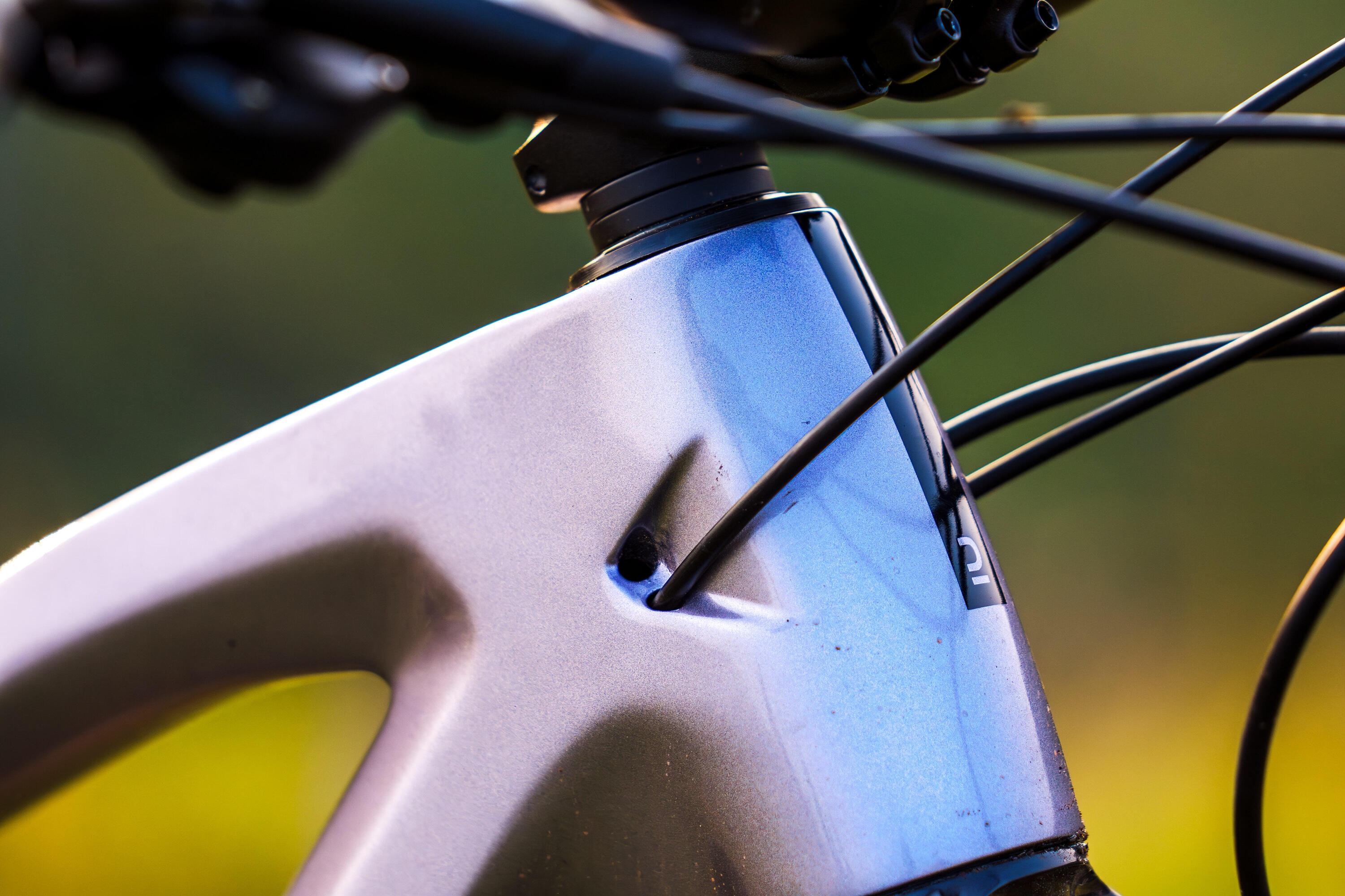 Mountainbike Feel 900 S  29" All Mountain Carbonrahmen 19/26