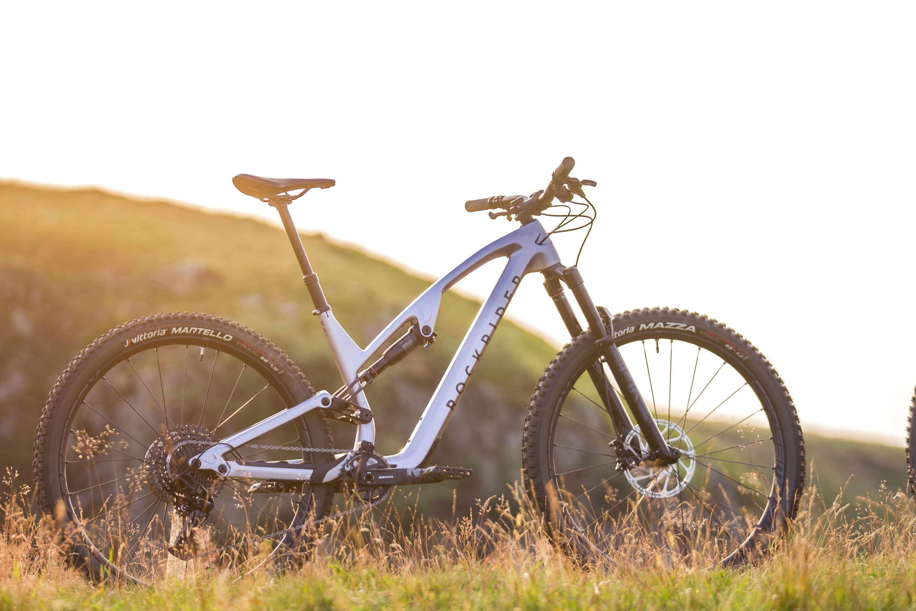 Mountainbike Feel 900 S  29" All Mountain Carbonrahmen 22/26