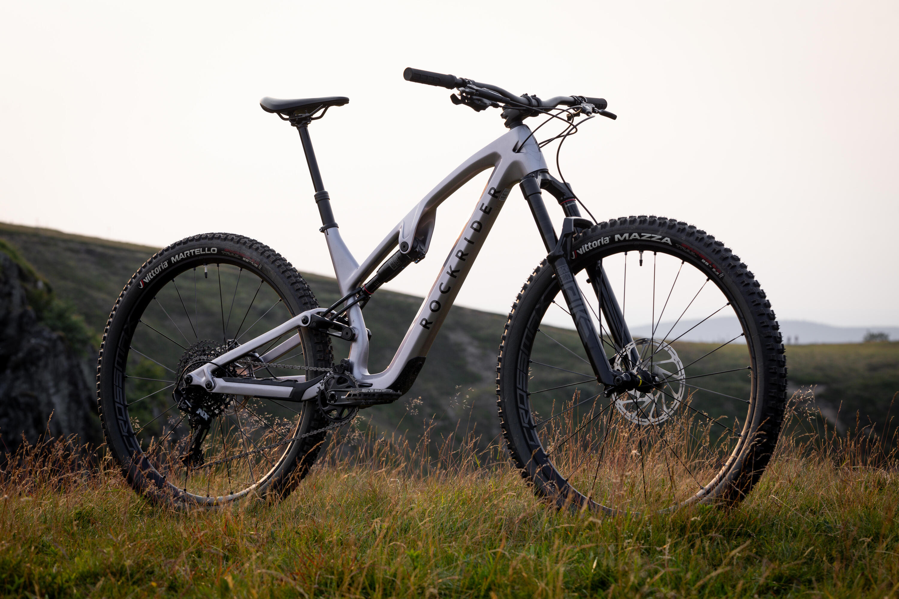 Mountainbike Feel 900 S  29" All Mountain Carbonrahmen 23/26