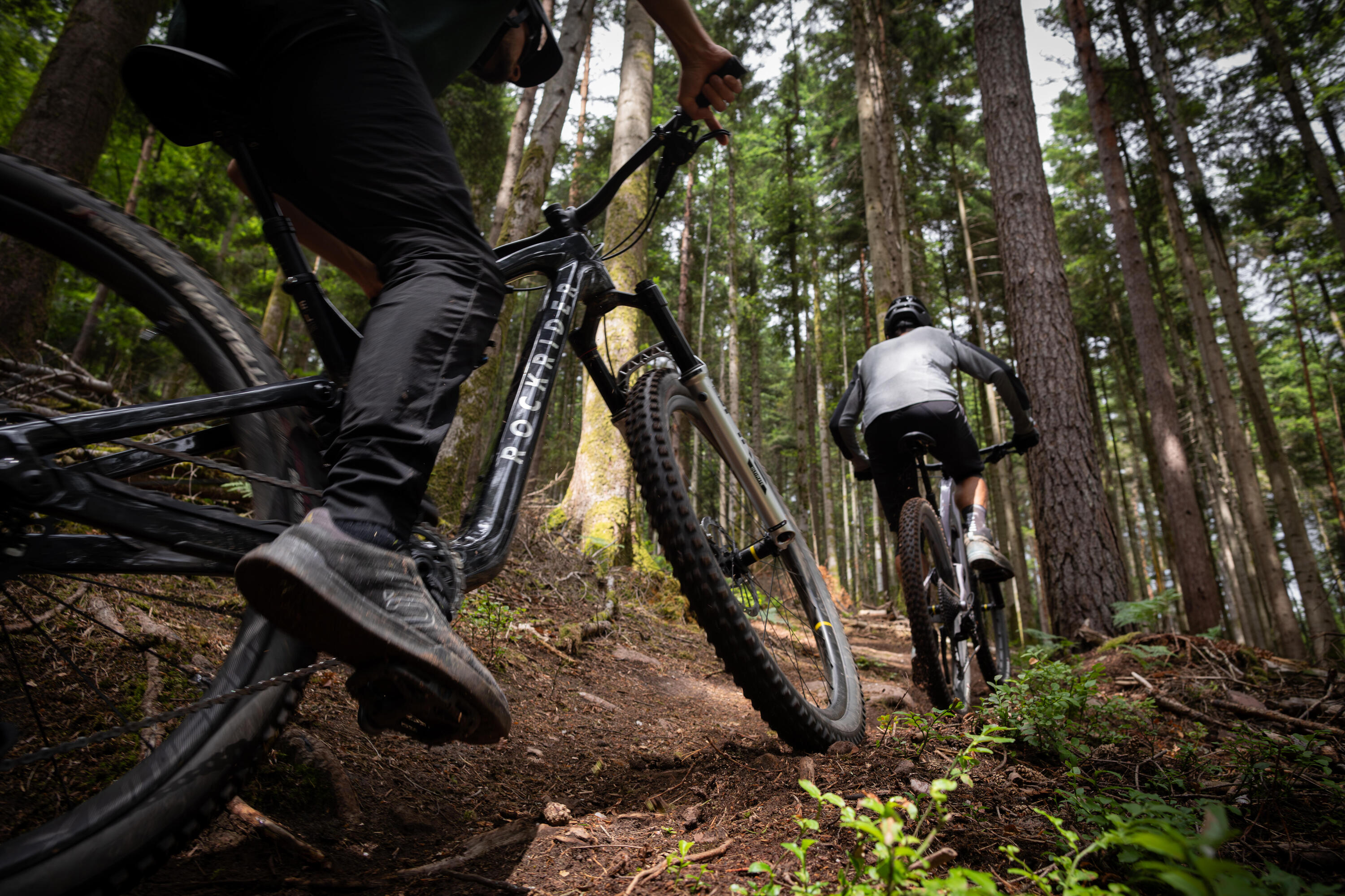 Bicicleta BTT All Mountain FEEL 900 S Team Edition Quadro em Carbono 13/14