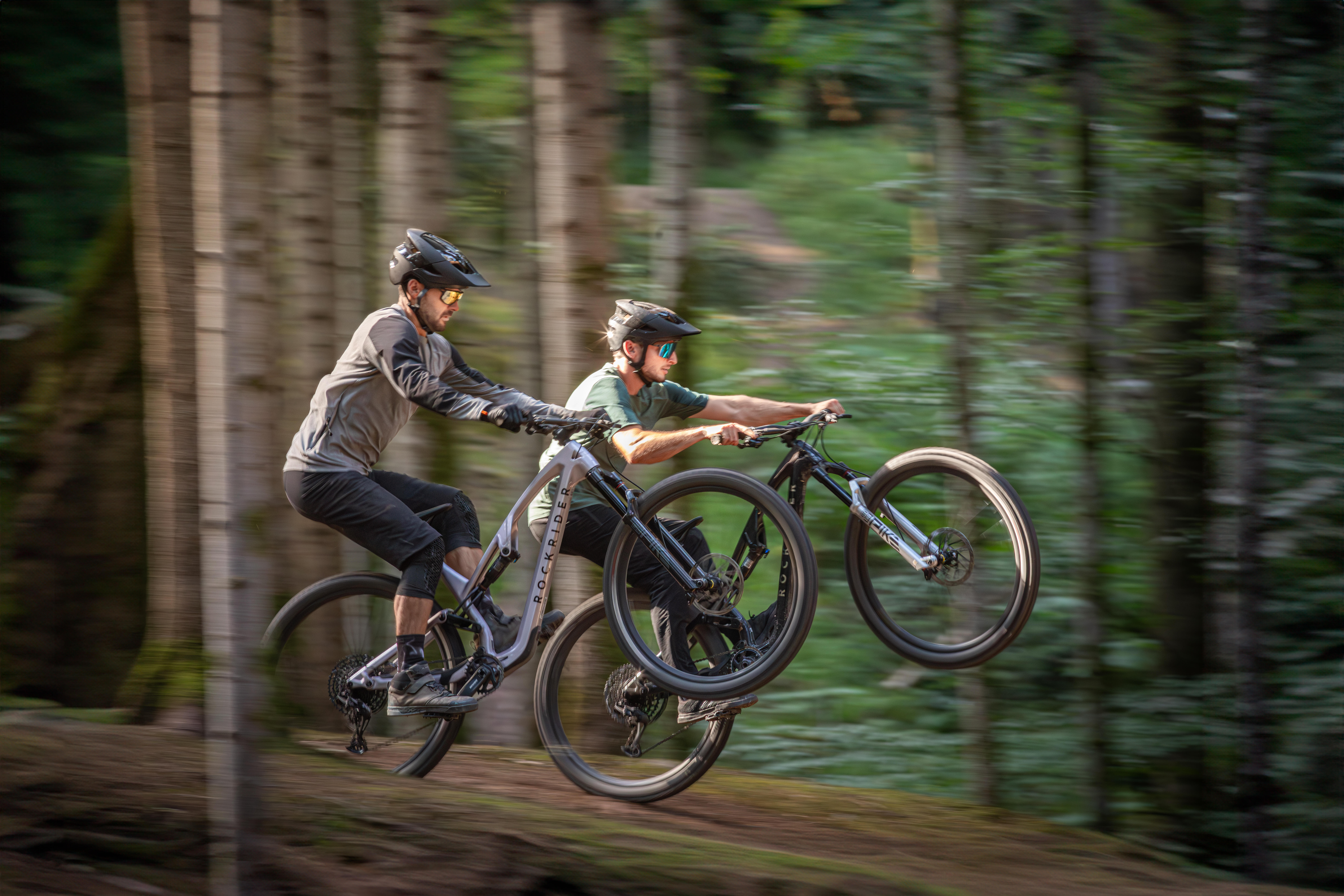 Carbon Frame All Mountain Bike - Feel 900 S - ROCKRIDER