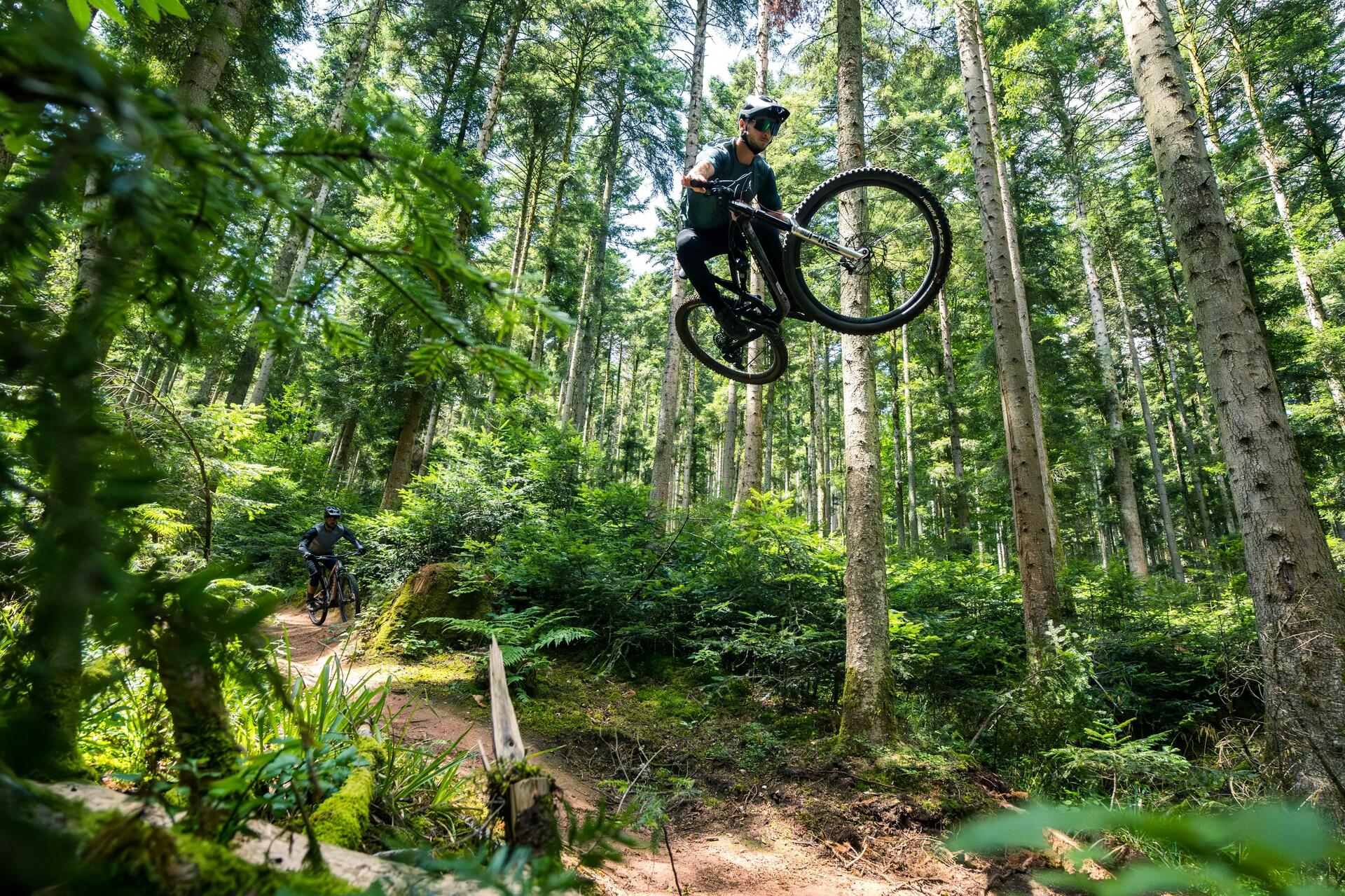 Mountainbike Feel 900 S