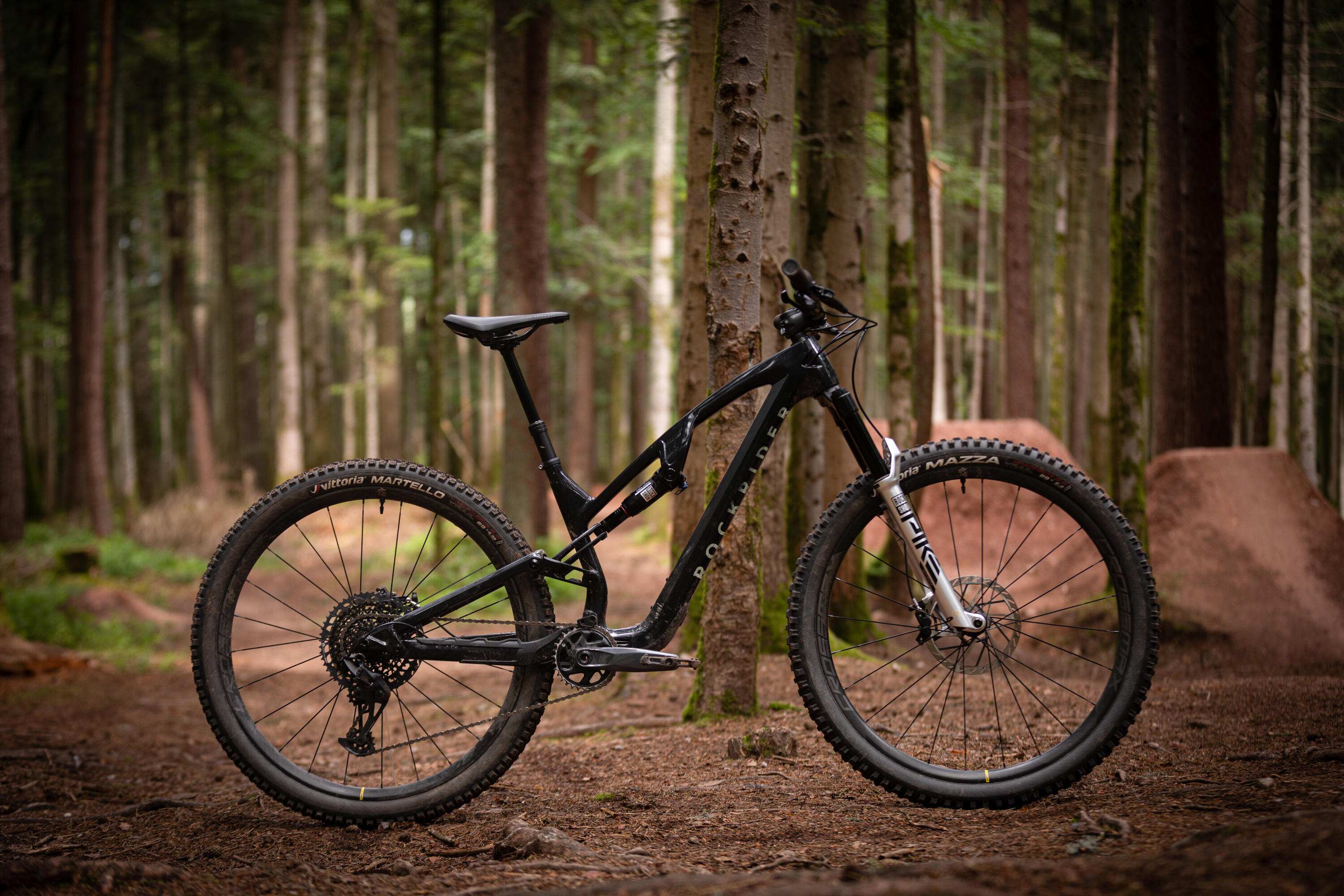 Bicicleta BTT All Mountain FEEL 900 S Team Edition Quadro em Carbono 11/14