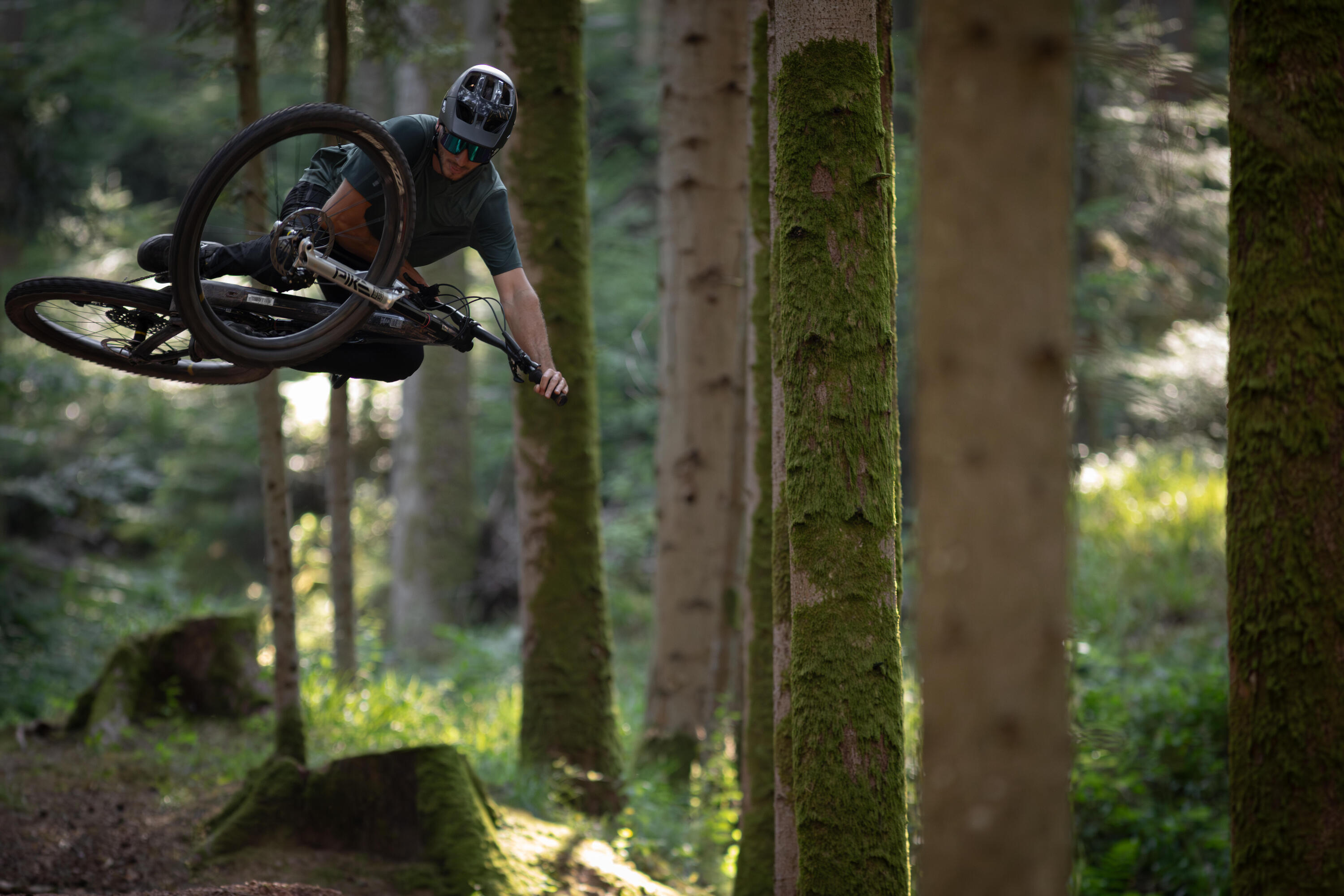 Bicicleta BTT All Mountain FEEL 900 S Team Edition Quadro em Carbono 9/14