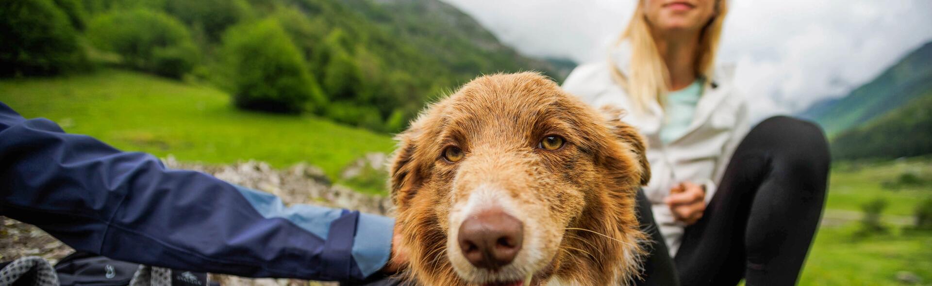 Kobieta z psem podczas uprawiania dogtrekkingu