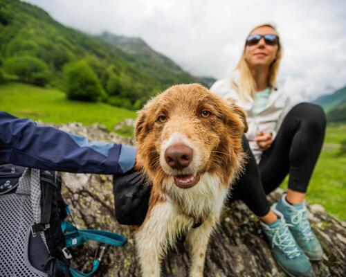 Kobieta z psem podczas uprawiania dogtrekkingu