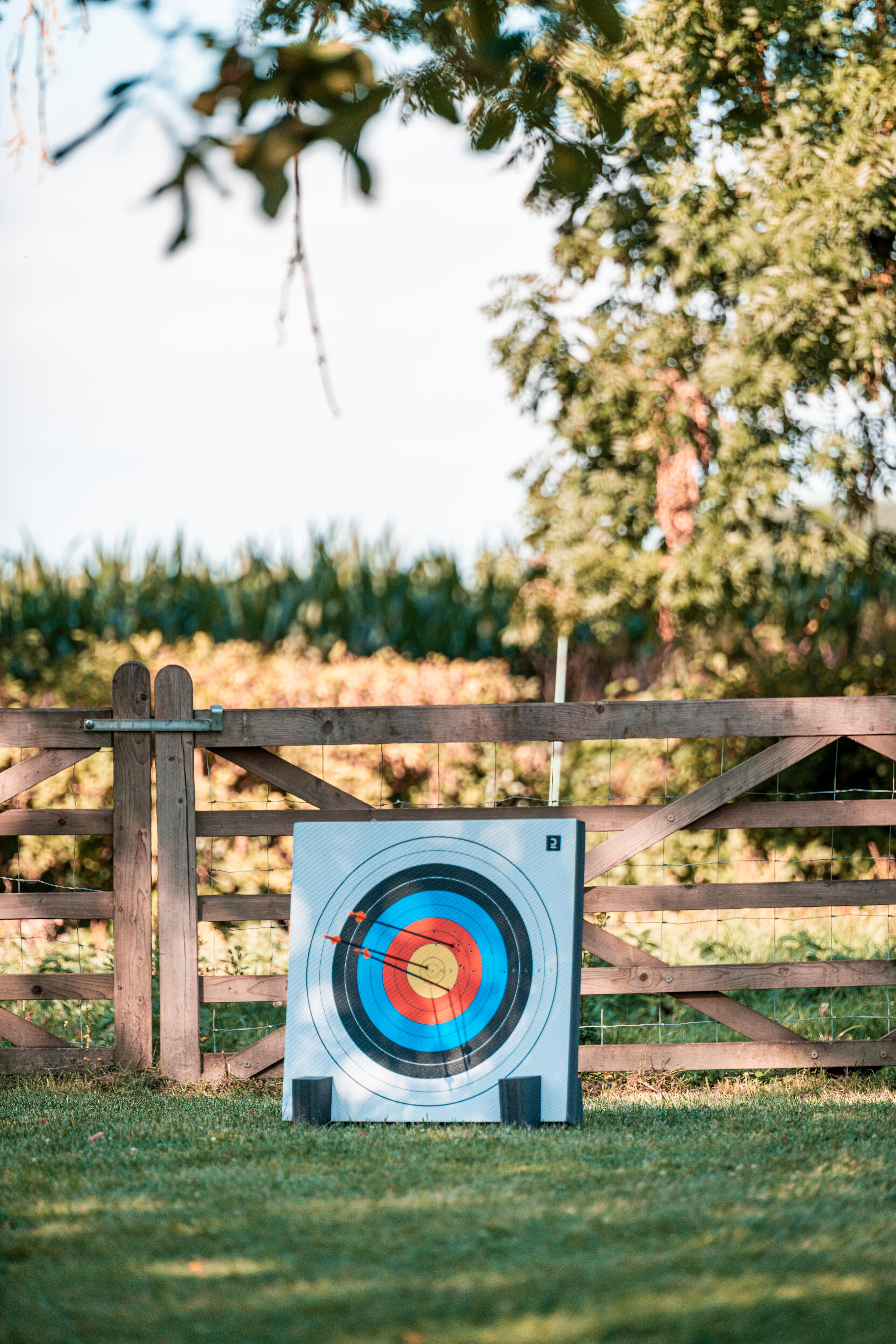 Steel Archery Target - Discovery 67x67 - GEOLOGIC