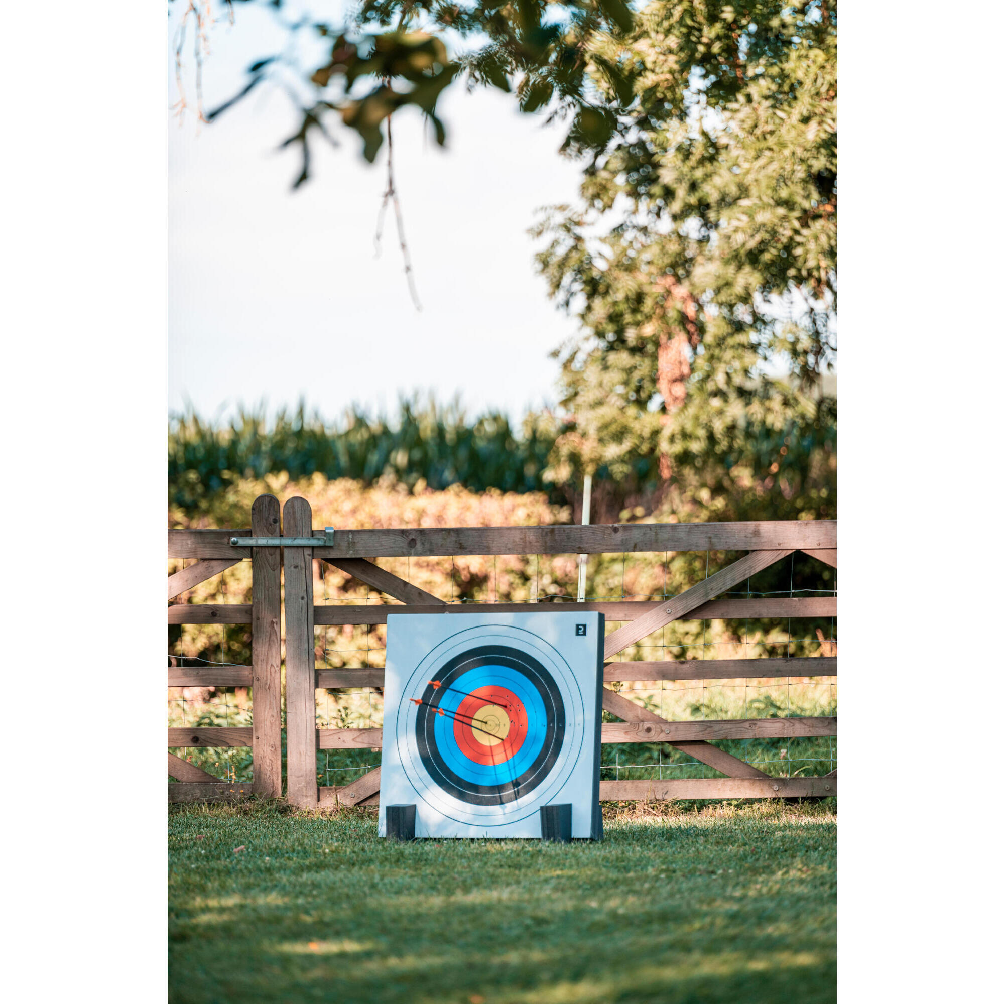 DISCOVERY STEEL SOFT ARBOW TARGET 67x67