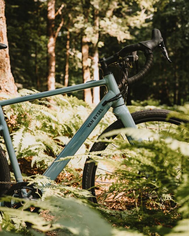 Blaues sportliches E-Bike zwischen Farnen im Wald stehend