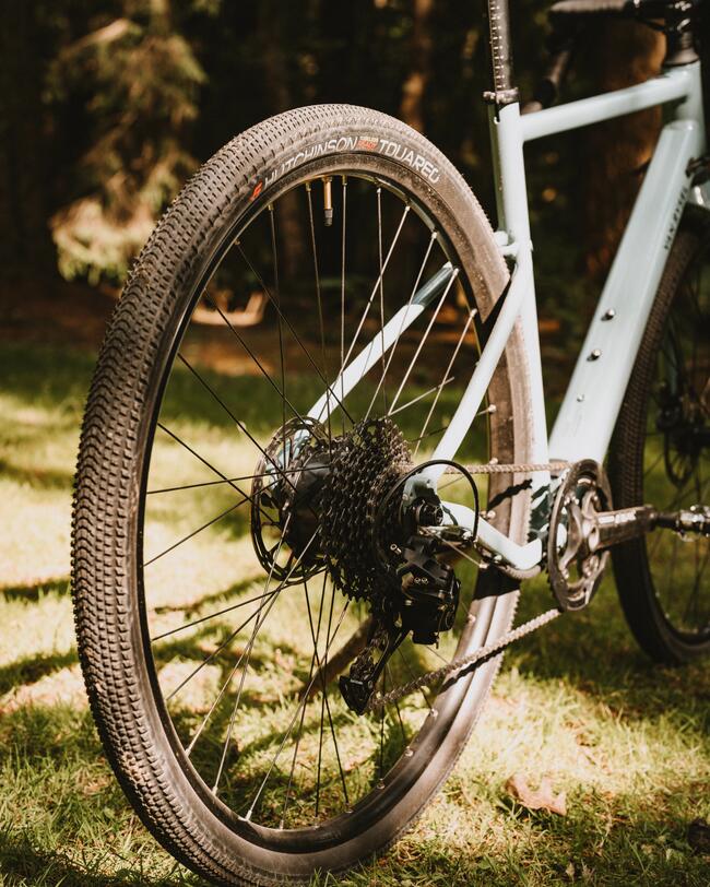Fahrrad-Hinterrad mit Profil; silbernen Scheibenbremsen und schwarzem Schaltwerk mit E-Antrieb. Auf Waldboden stehend.
