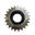 Roue libre a visser 23 dents