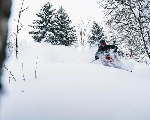 Welke soorten skibanen zijn er in Nederland?