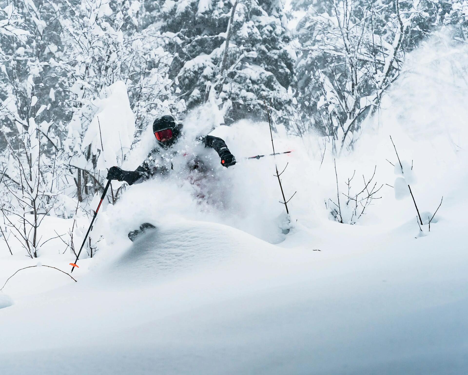 chaussures de ski freeride expert