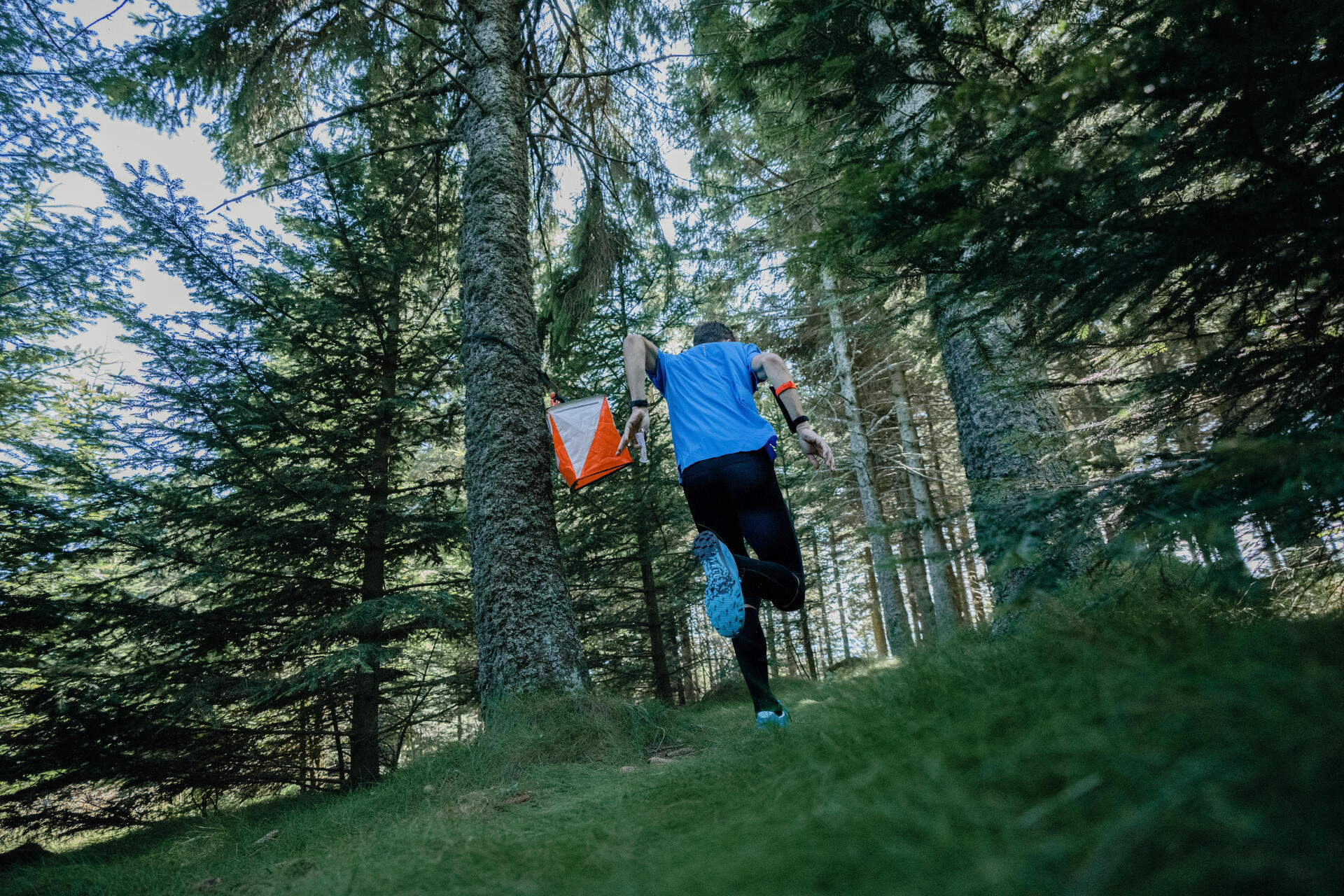 L'orienteering