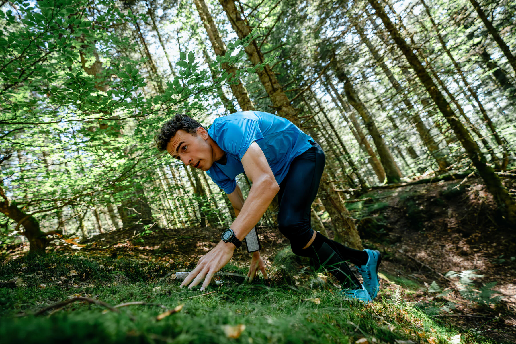 programma orienteering
