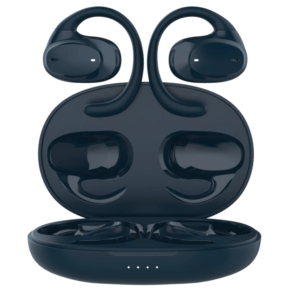 DS500 earphones