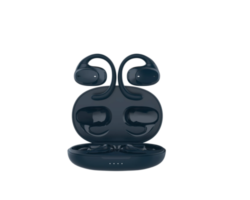 DS500 earphones