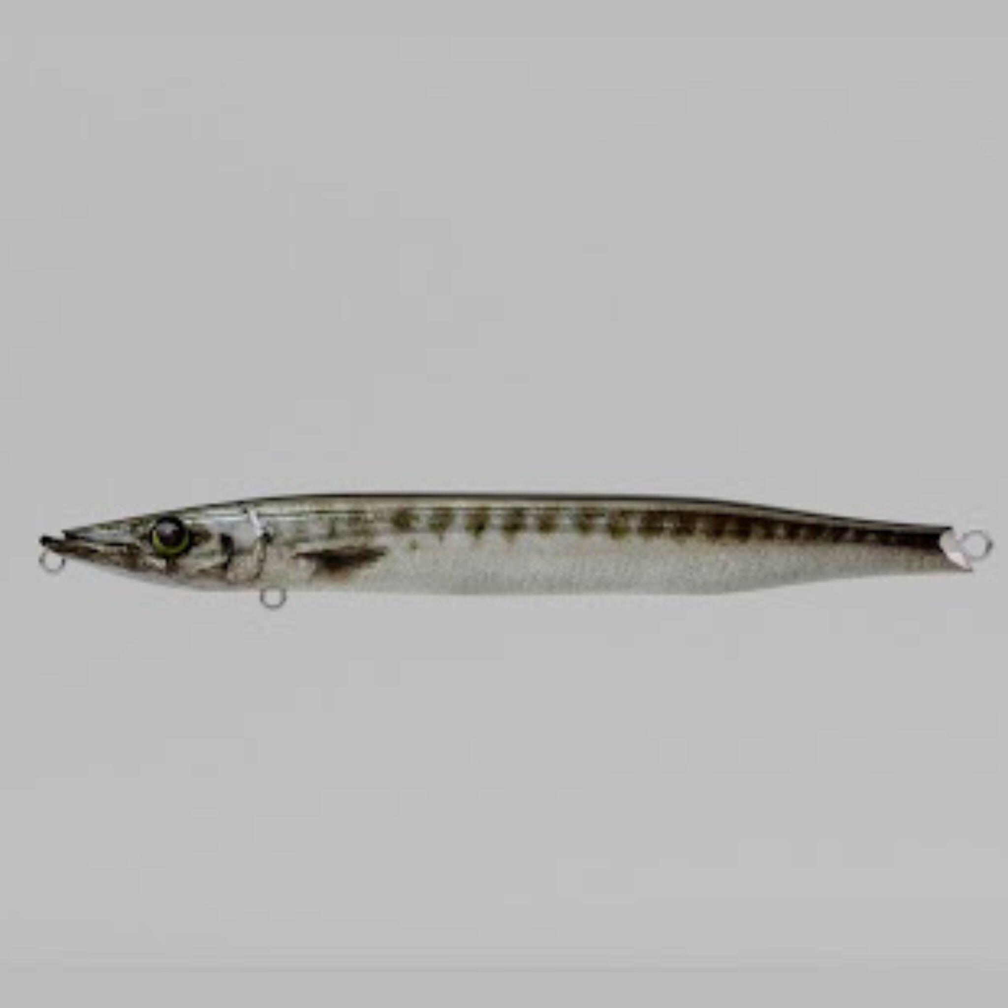Jerkbait Jerkuda 170SP Spinnfischen im Meer Barracuda  7/16