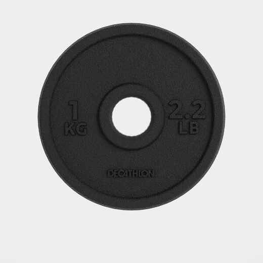 
      Cast Iron Weight Training Disc Weight 1 kg 28 mm
  