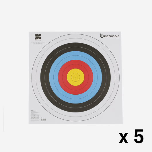 5 BLASONS TIR A L&#039;ARC 60x60 cm