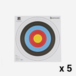 5 BLASONS TIR A L&#039;ARC 60x60 cm