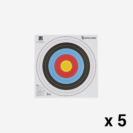 5 BLASONS TIR A L&#039;ARC 40X40 cm