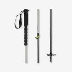 ADJUSTABLE CROSS-COUNTRY SKI POLES - SKI MO