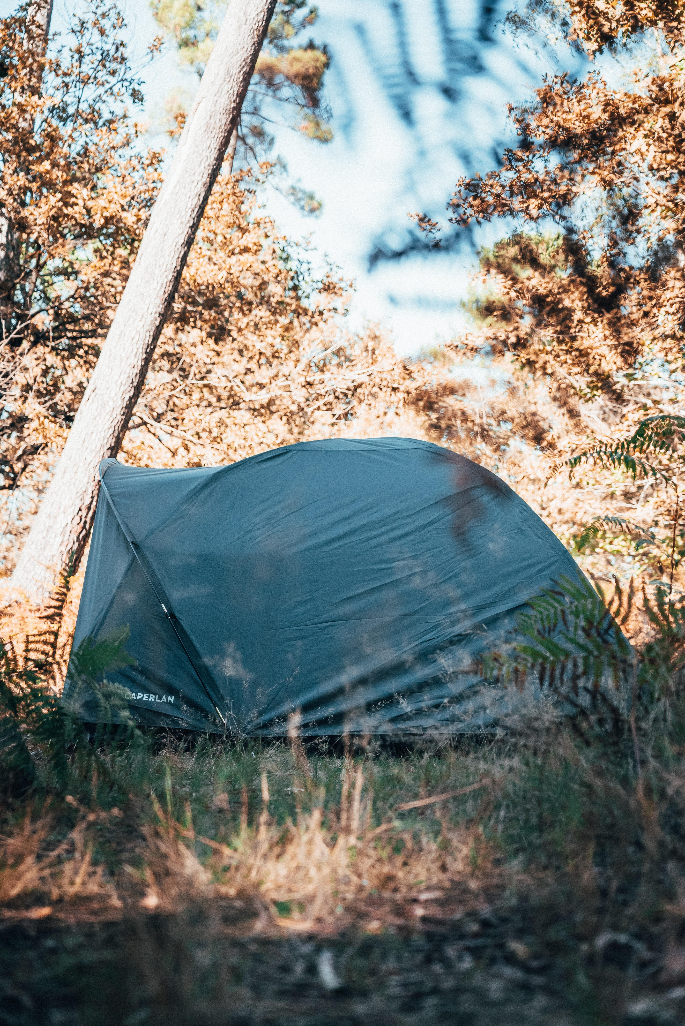 Bivvy Tanker 100 Pêche de la carpe 11/13