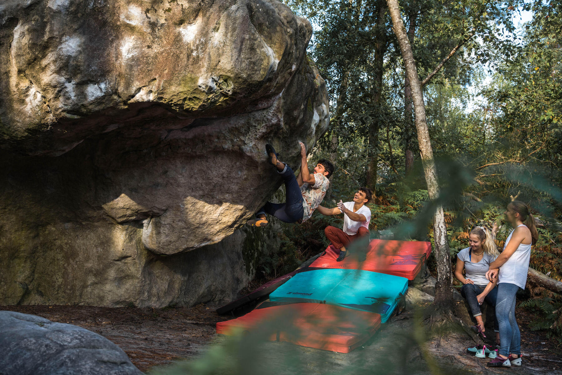 Eine Gruppe aus 4 Personen Bouldern in einem Wald und trainiert den ganzen Körper