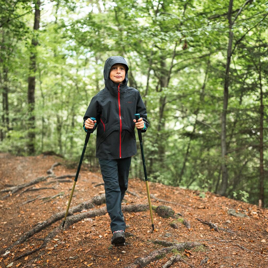 SINGLE CHILDREN’S HIKING POLE