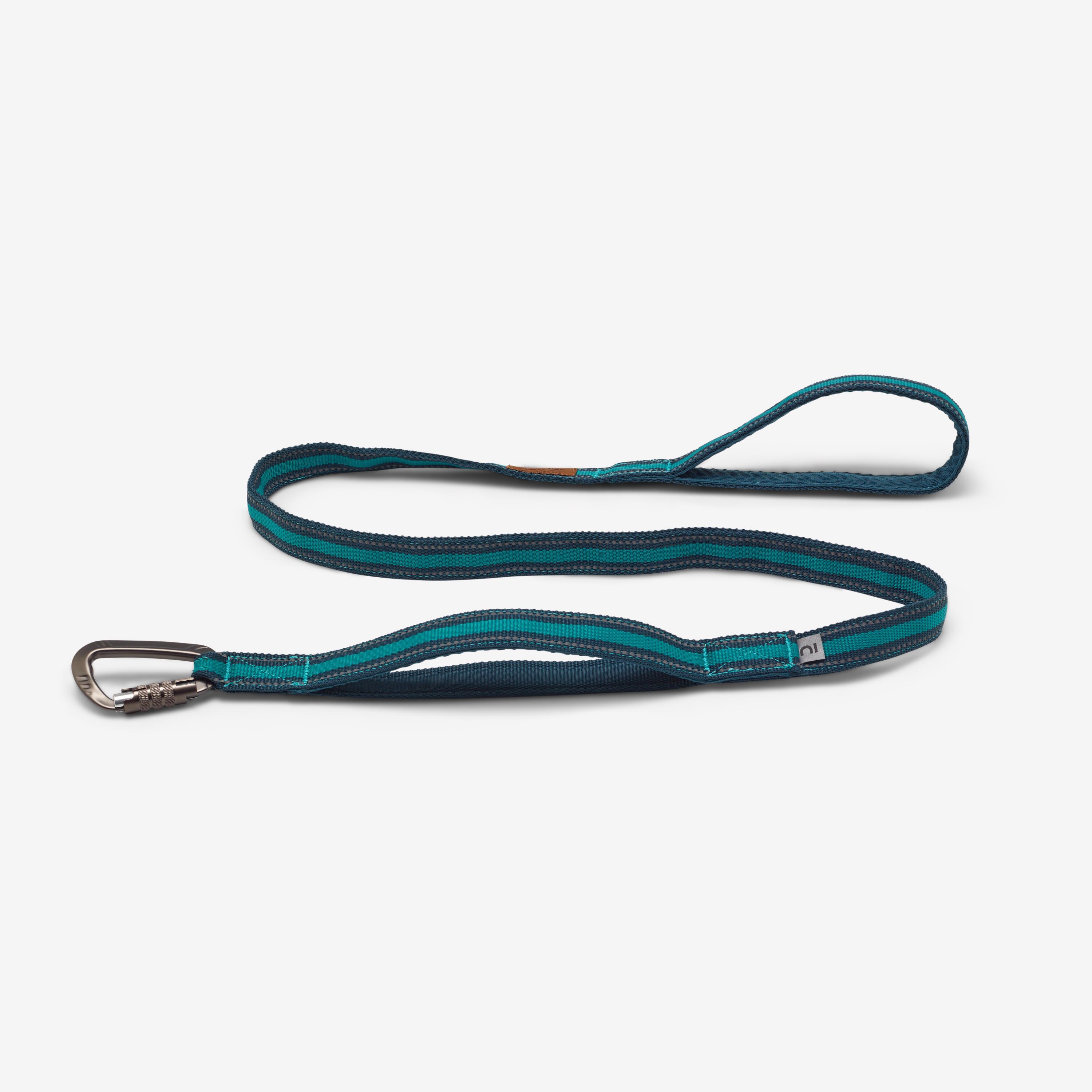 OUTDOOR 500 BLUE DOG LEASH