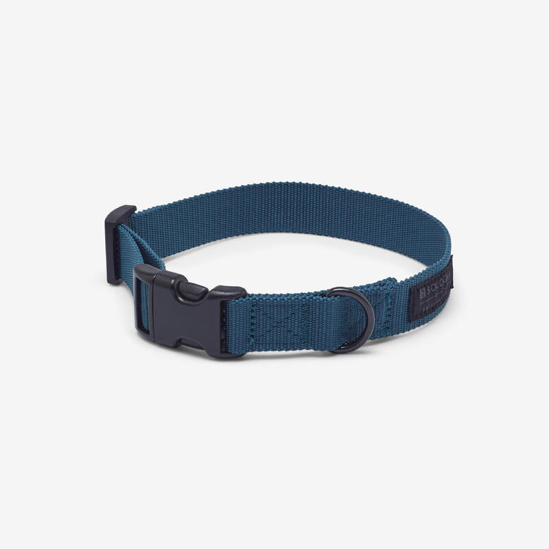 Collier chien 100 bleu