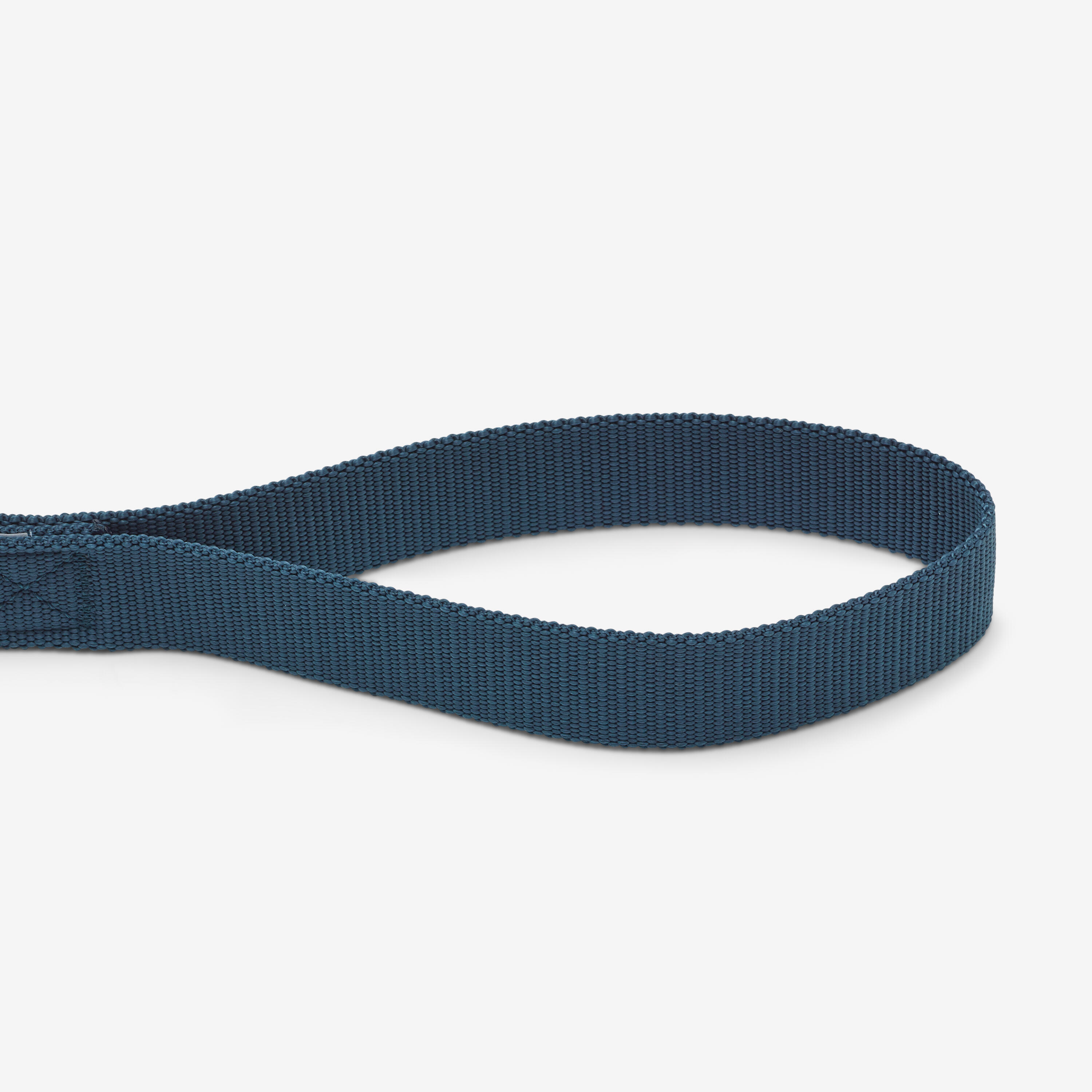 Dog Leash - 100 Blue - SOLOGNAC