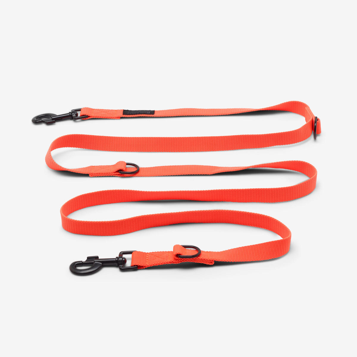 Laisse 3 positions pour chien orange.