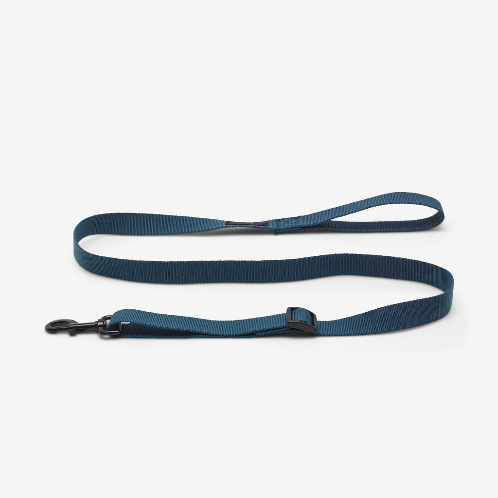 Laisse chien bleue 100