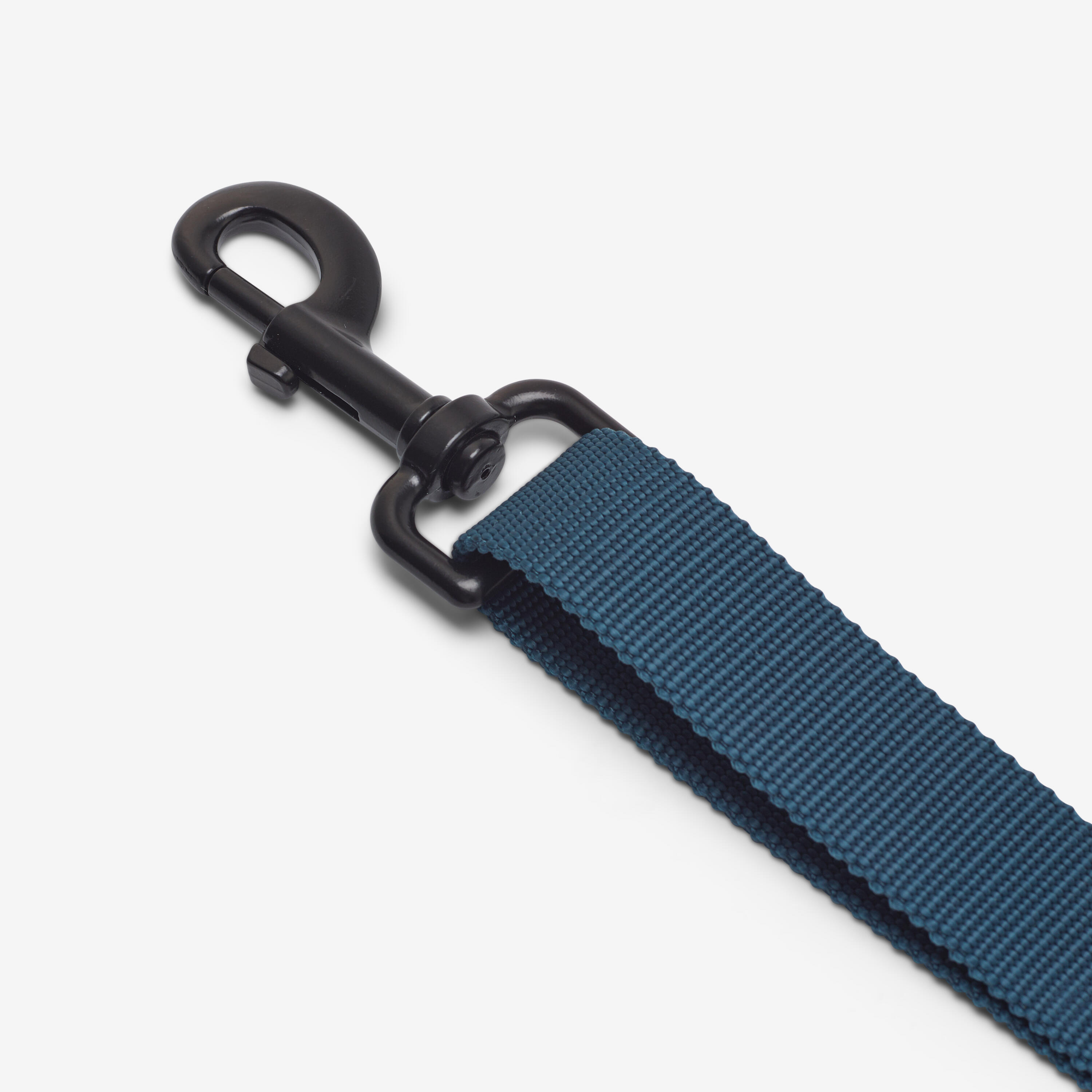 Dog Leash - 100 Blue - SOLOGNAC