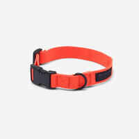 100 dog collar orange