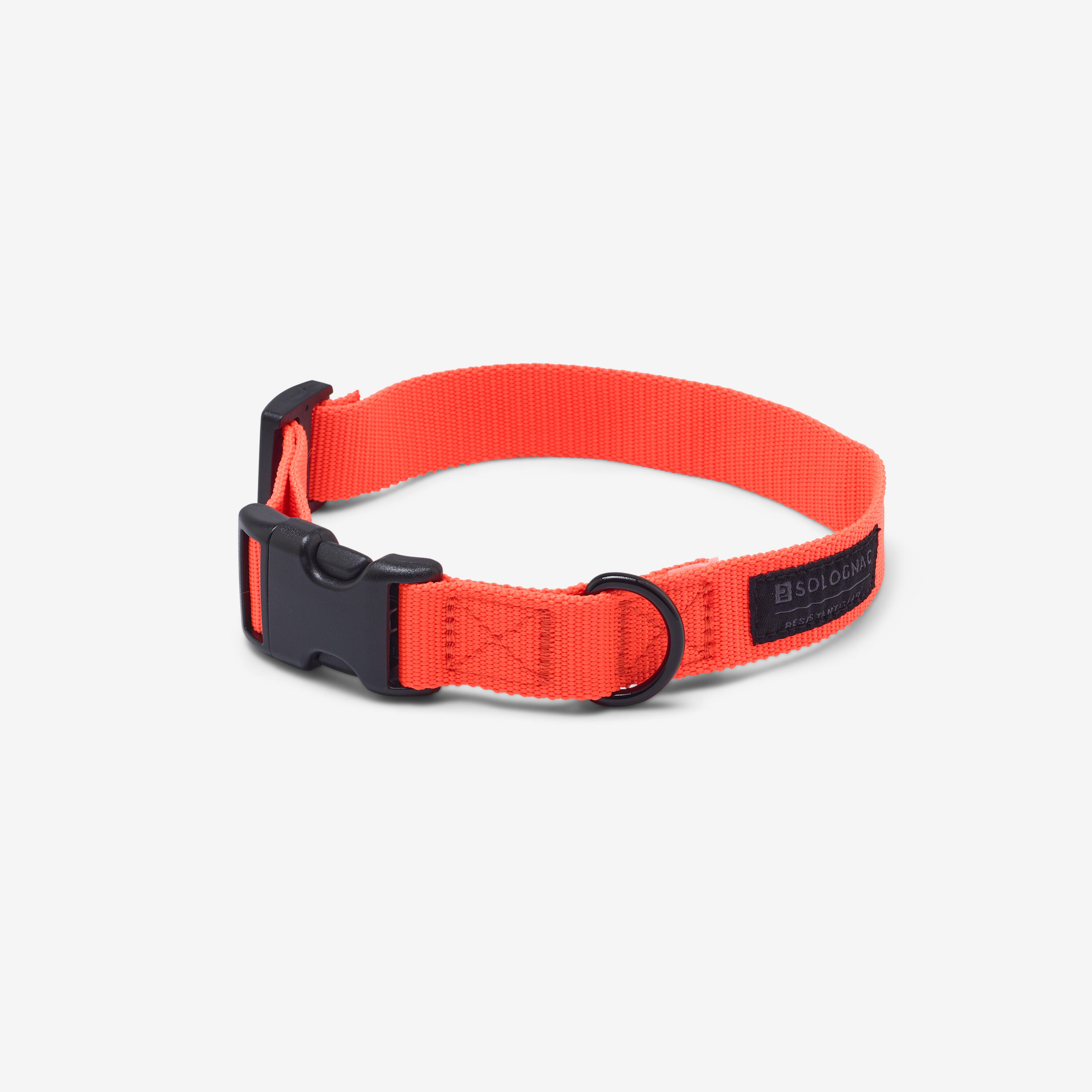 100 Orange dog collar