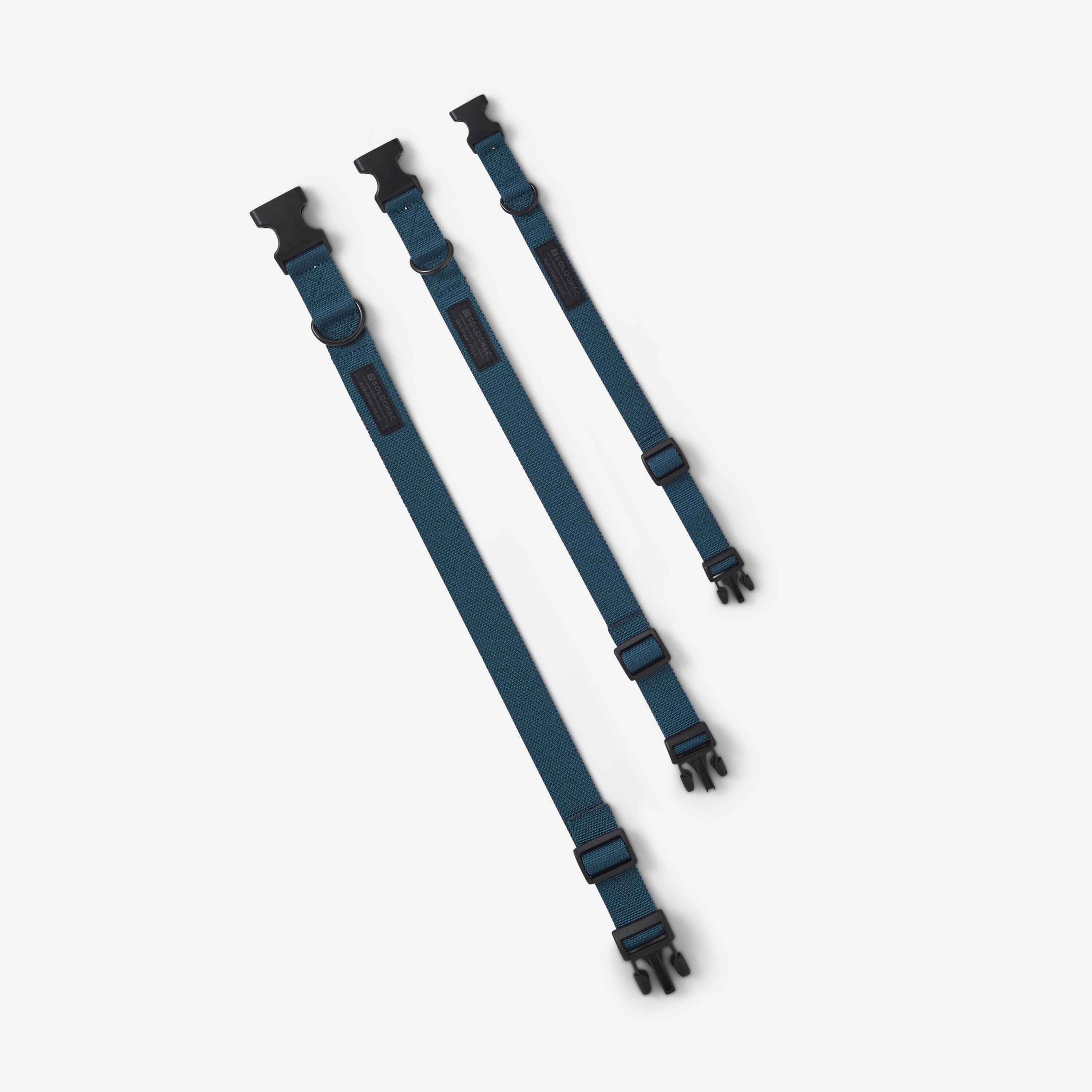 Dog Collar, 100 - SOLOGNAC